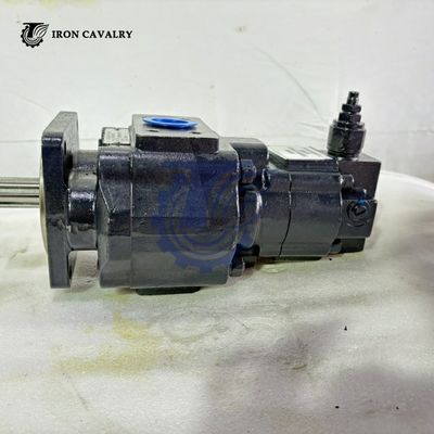 JHP20800010 SEM650 Loader Double Pump High Performance Durable Hydraulic Gear Pump Assembly Reliable for Heavy Duty Wheel Loader Hydraulic Power Outpu